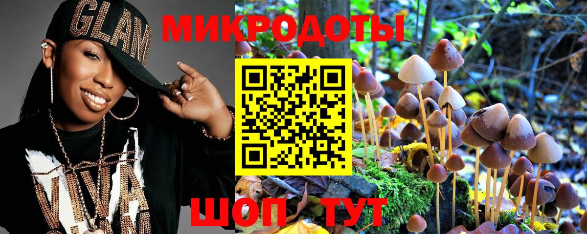 Псилоцибиновые грибы Psilocybine cubensis Еманжелинск